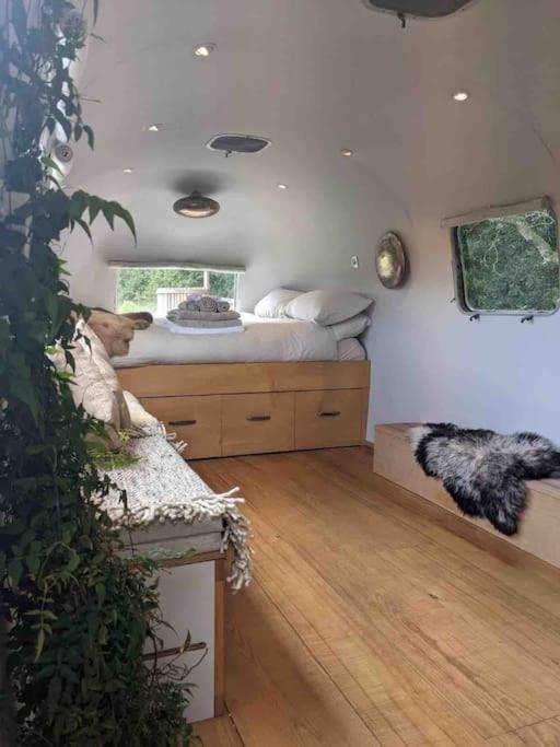 Airstream, Vintage American Caravan & Hottub Ashburton Exterior photo